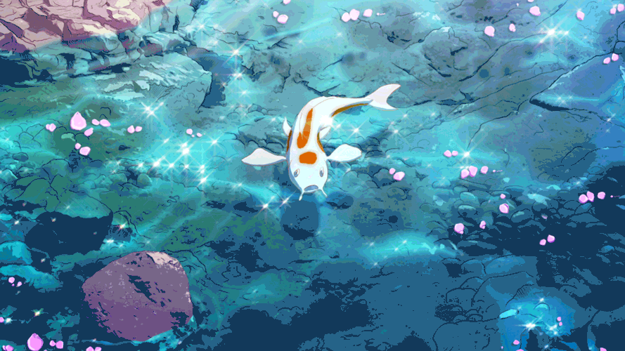 Koi fish